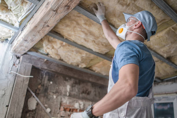 Best Insulation Maintenance and Repair in Pleasant Hill, IA