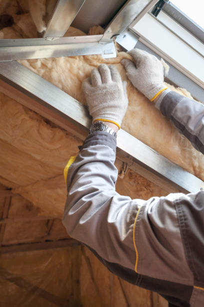 Best Energy Efficiency Insulation in Pleasant Hill, IA