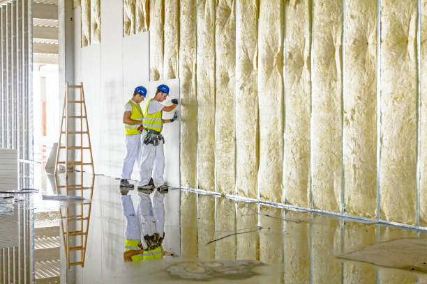 Best Specialized Insulation Services in Pleasant Hill, IA